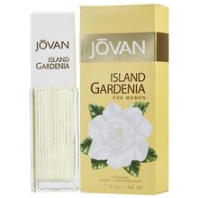 Island Gardenia